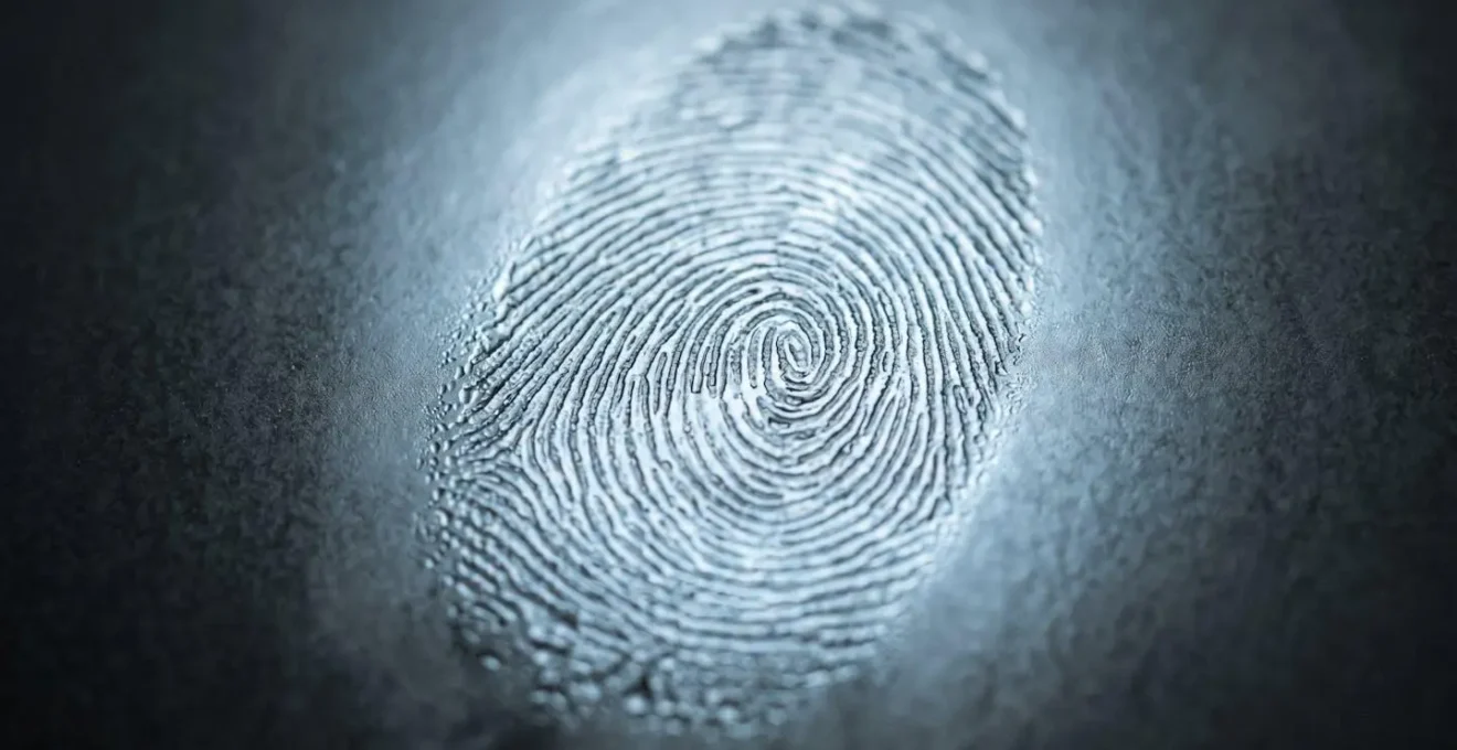 Représentation conceptuelle du fingerprinting et du tracking invisible en ligne