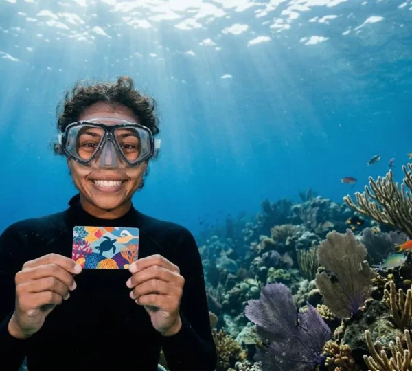 Plongeur certifié explorant un récif corallien vibrant avec carte de certification en main