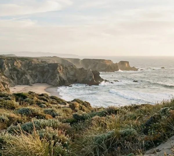 Vue panoramique d'une côte préservée avec falaises et végétation dunaire